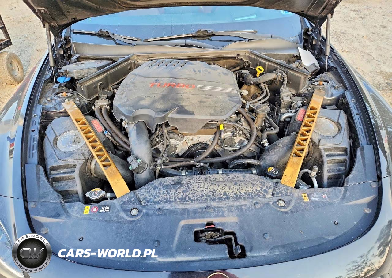 2019 Kia Stinger Gt2 VIN:KNAE55LC7K6052751 - 11