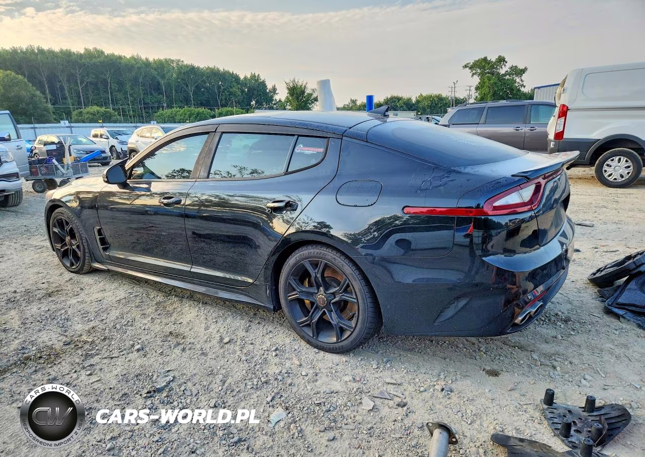 2019 Kia Stinger Gt2 VIN:KNAE55LC7K6052751 - 2