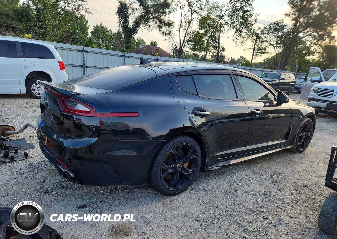 2019 Kia Stinger Gt2 VIN:KNAE55LC7K6052751 - 3