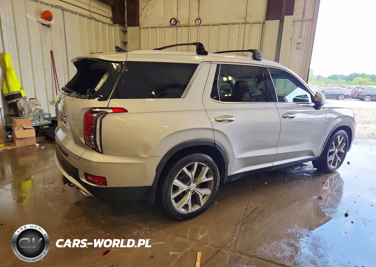 2022 Hyundai Palisade Sel VIN:KM8R4DHE7NU410602 - 3