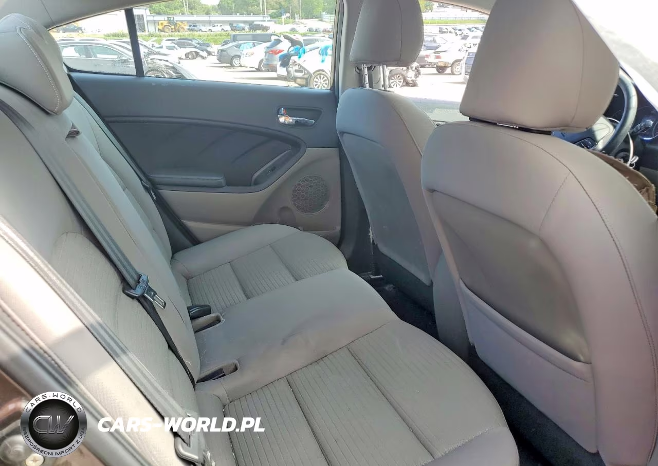 2015 Kia Forte Lx VIN:KNAFX4A63F5302844 - 10