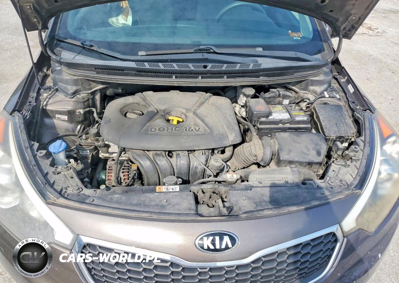 2015 Kia Forte Lx VIN:KNAFX4A63F5302844 - 11