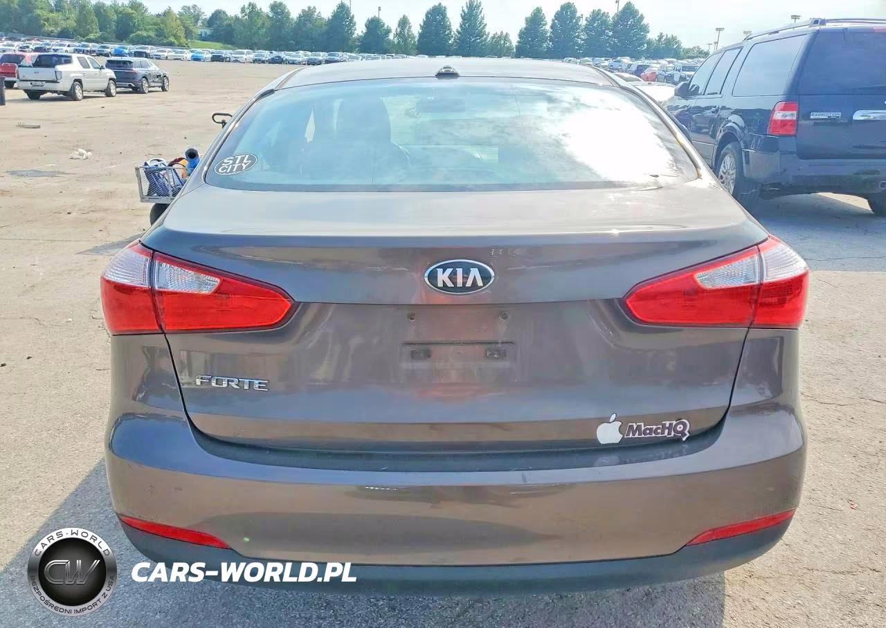2015 Kia Forte Lx VIN:KNAFX4A63F5302844 - 6