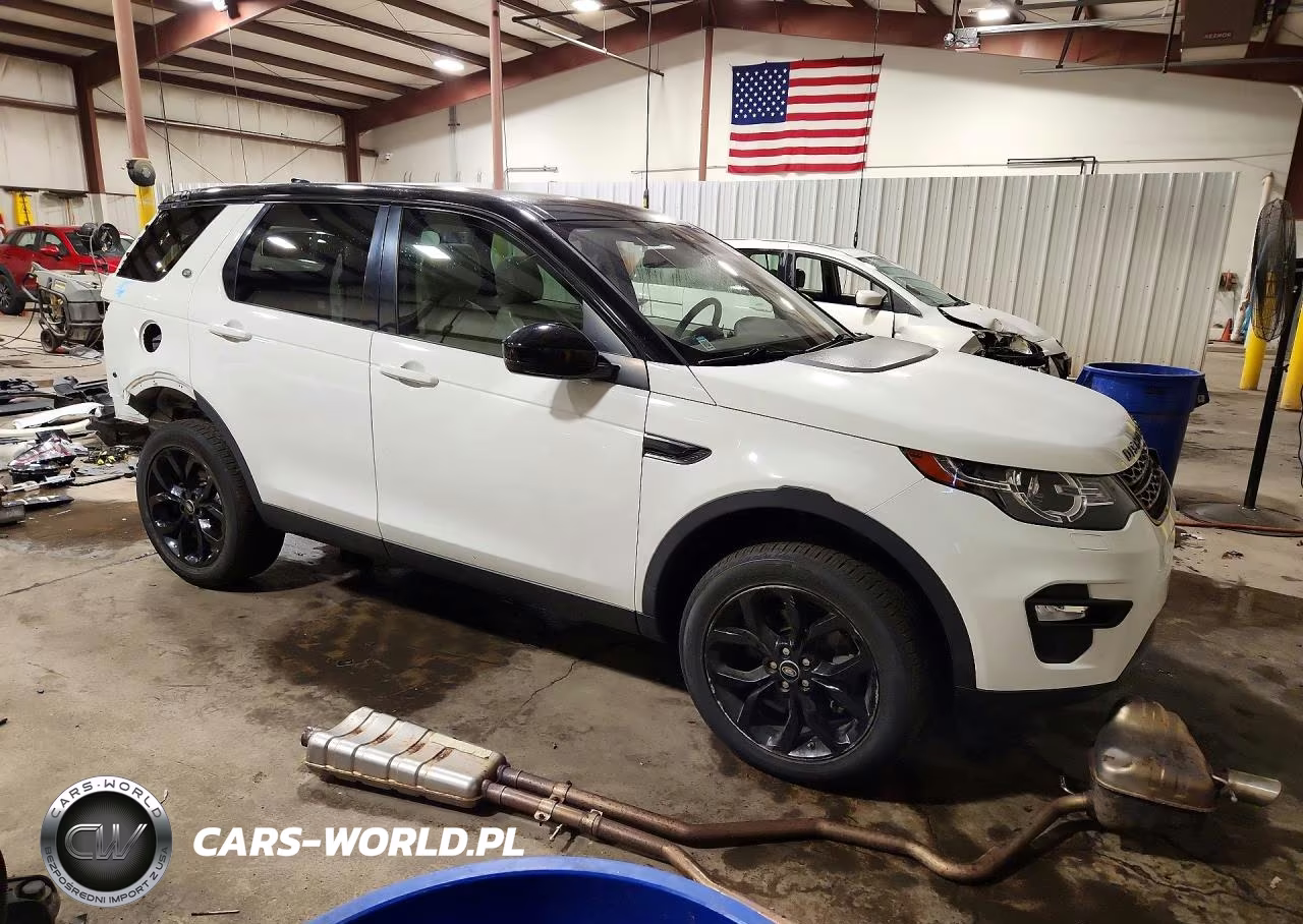 2019 Land Rover Discovery Sport Hse-Landmark Edition VIN:SALCR2FX9KH784694 - 4
