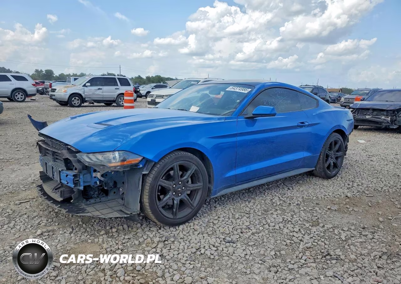 2019 Ford Mustang VIN:1FA6P8TH7K5142623 - 1