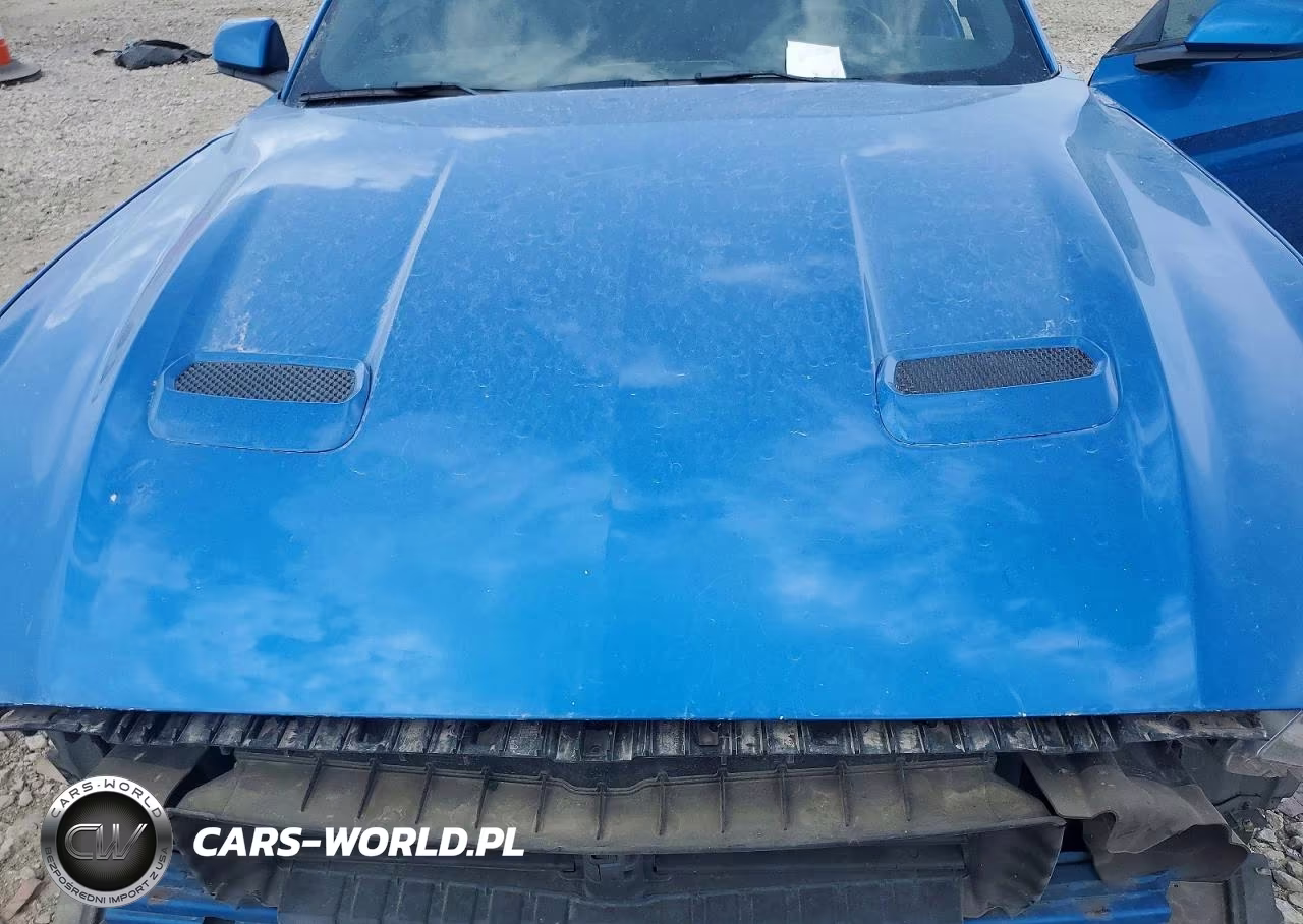 2019 Ford Mustang VIN:1FA6P8TH7K5142623 - 11
