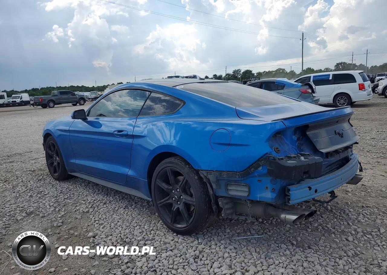 2019 Ford Mustang VIN:1FA6P8TH7K5142623 - 2