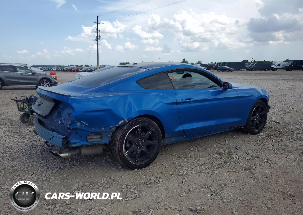 2019 Ford Mustang VIN:1FA6P8TH7K5142623 - 3