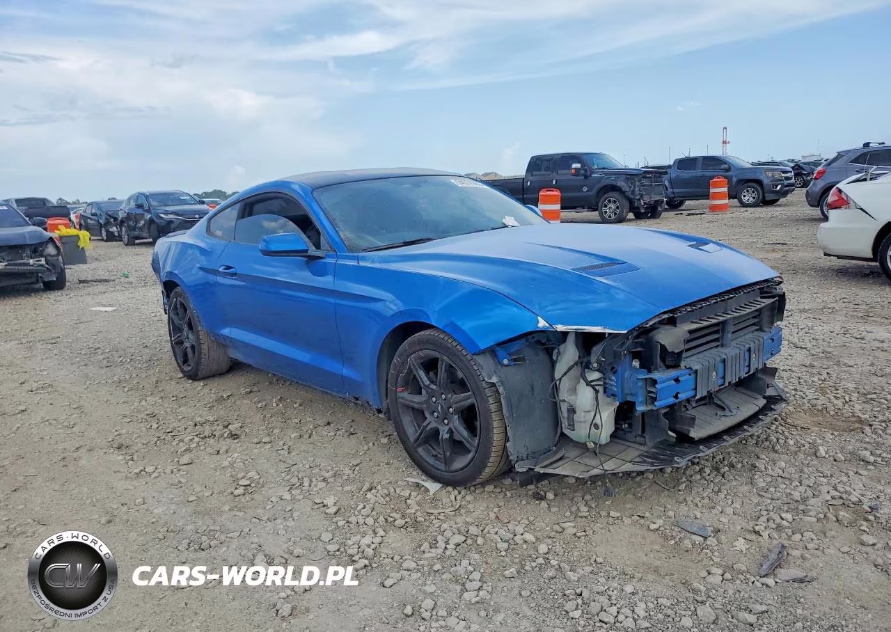 2019 Ford Mustang VIN:1FA6P8TH7K5142623 - 4
