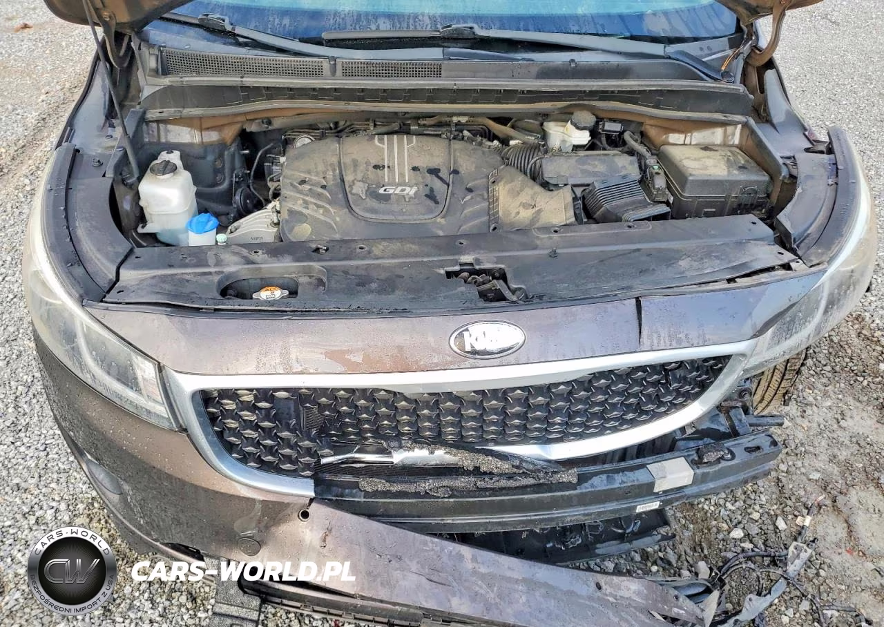 2017 Kia Sedona Sx VIN:KNDMC5C17H6326459 - 12