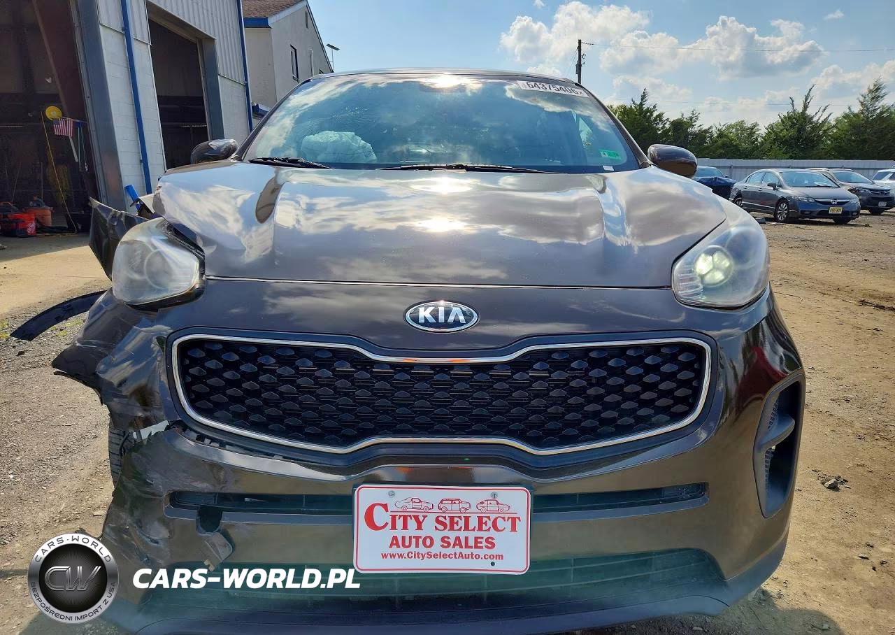 2017 Kia Sportage Lx VIN:KNDPM3AC8H7096475 - 5