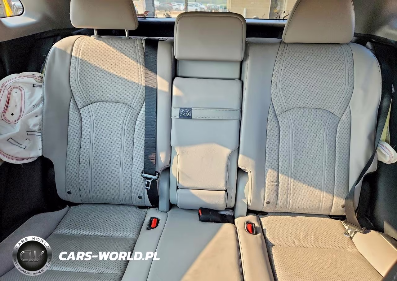 2019 Lexus Rx 350 Base VIN:2T2BZMCA5KC175746 - 10