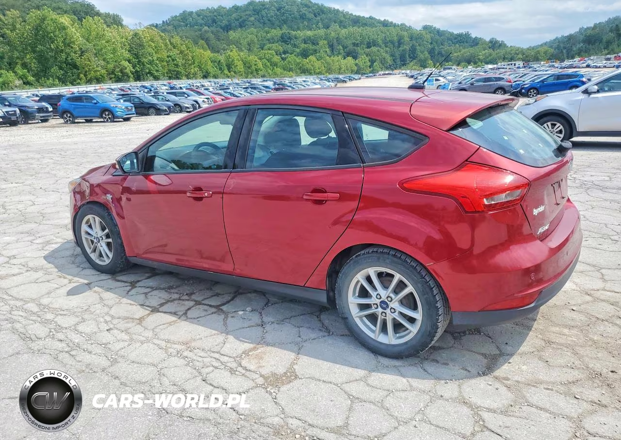 2015 Ford Focus Se VIN:1FADP3K21FL372005 - 2