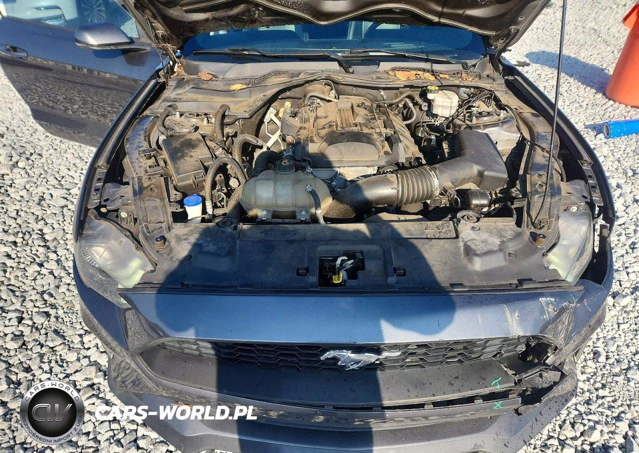 2020 Ford Mustang VIN:1FA6P8TH6L5100204 - 11