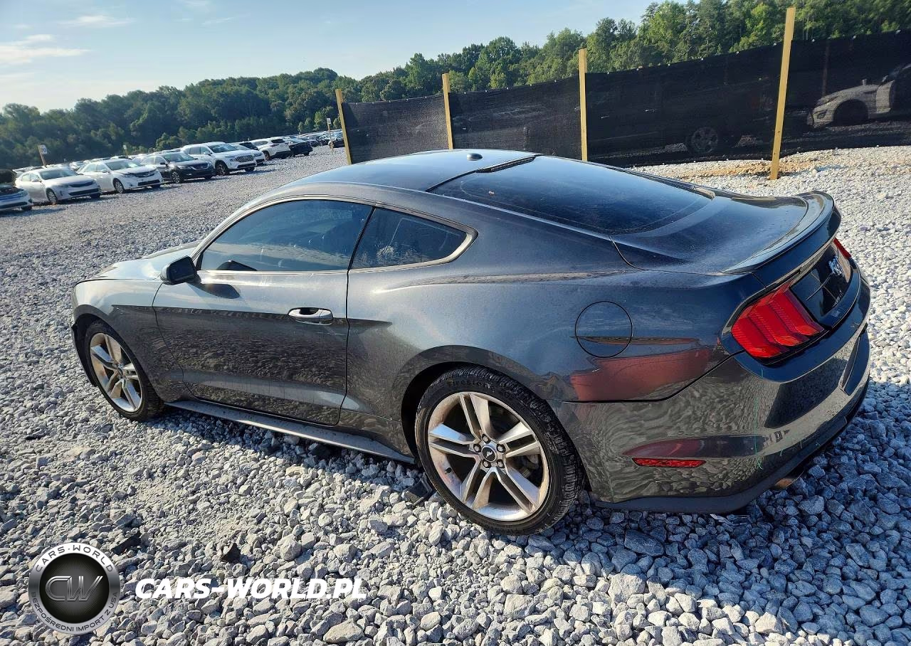 2020 Ford Mustang VIN:1FA6P8TH6L5100204 - 2