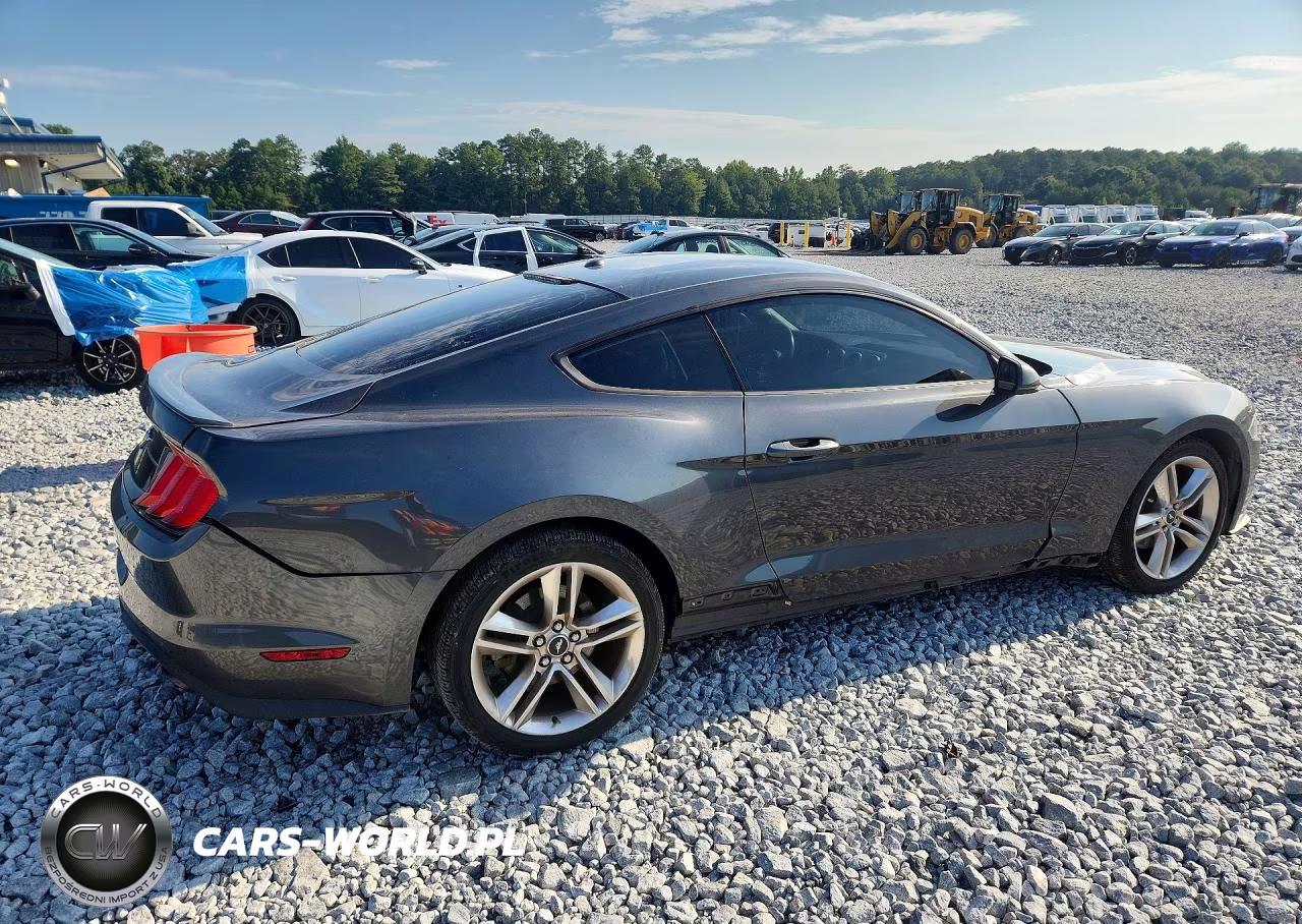 2020 Ford Mustang VIN:1FA6P8TH6L5100204 - 3