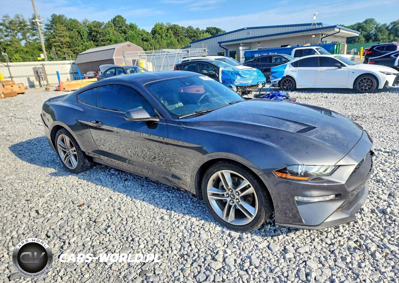2020 Ford Mustang VIN:1FA6P8TH6L5100204 - 4