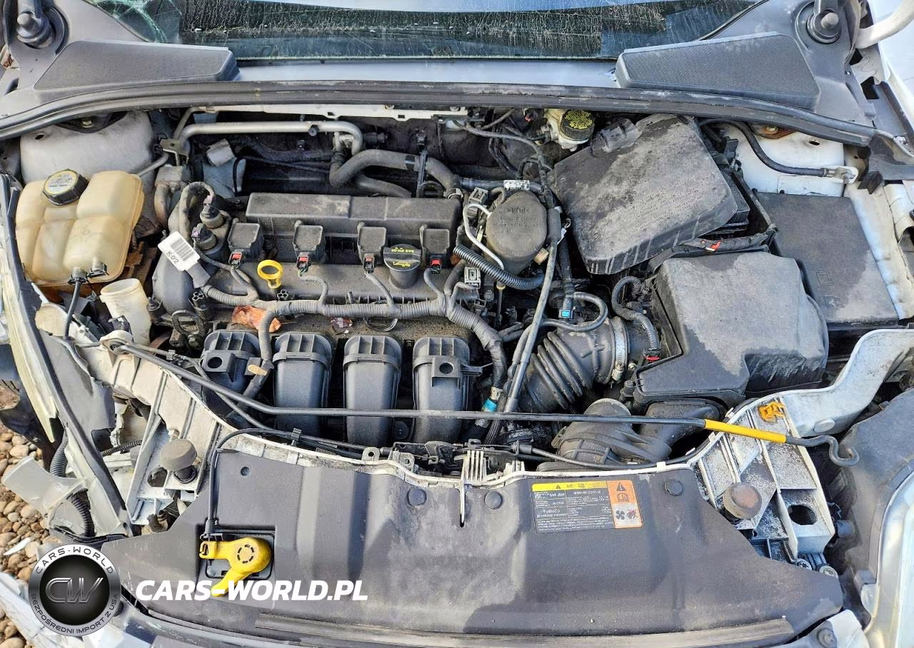 2013 Ford Focus Se VIN:1FADP3F29DL232016 - 11