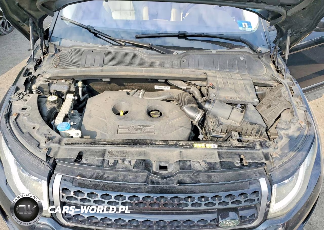 2016 Land Rover Range Rover Evoque Se VIN:SALVP2BG4GH156201 - 12