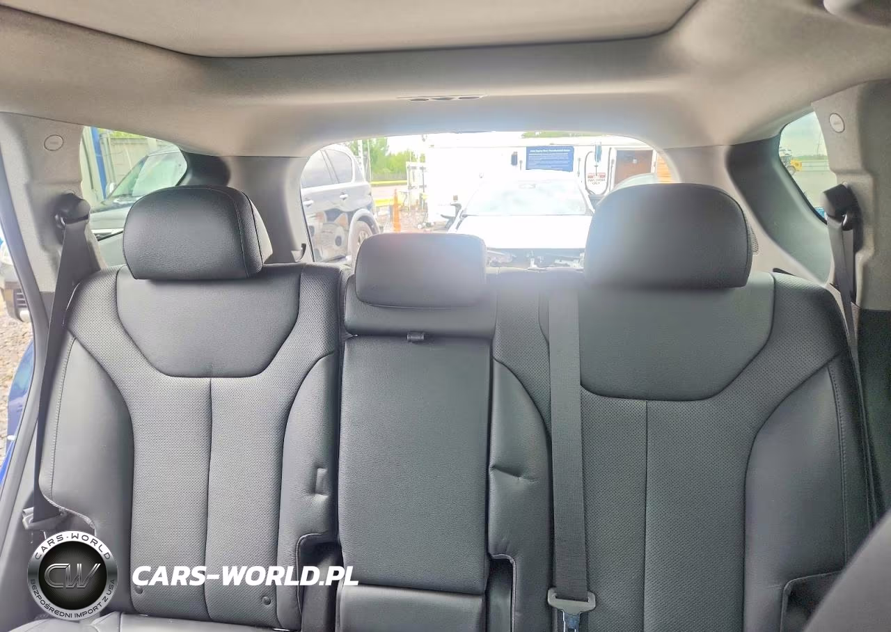 2020 Hyundai Santa Fe Limited 2.0T VIN:5NMS53AA4LH171292 - 10