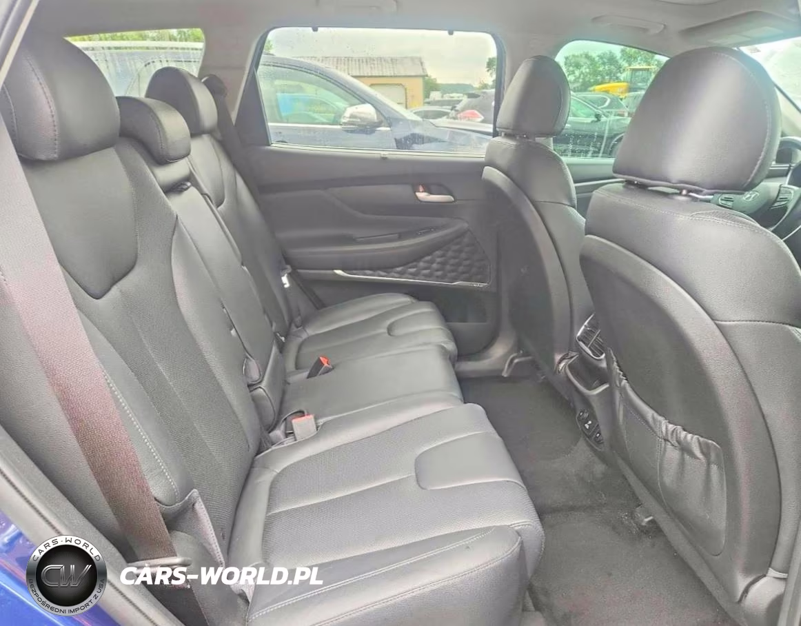 2020 Hyundai Santa Fe Limited 2.0T VIN:5NMS53AA4LH171292 - 11