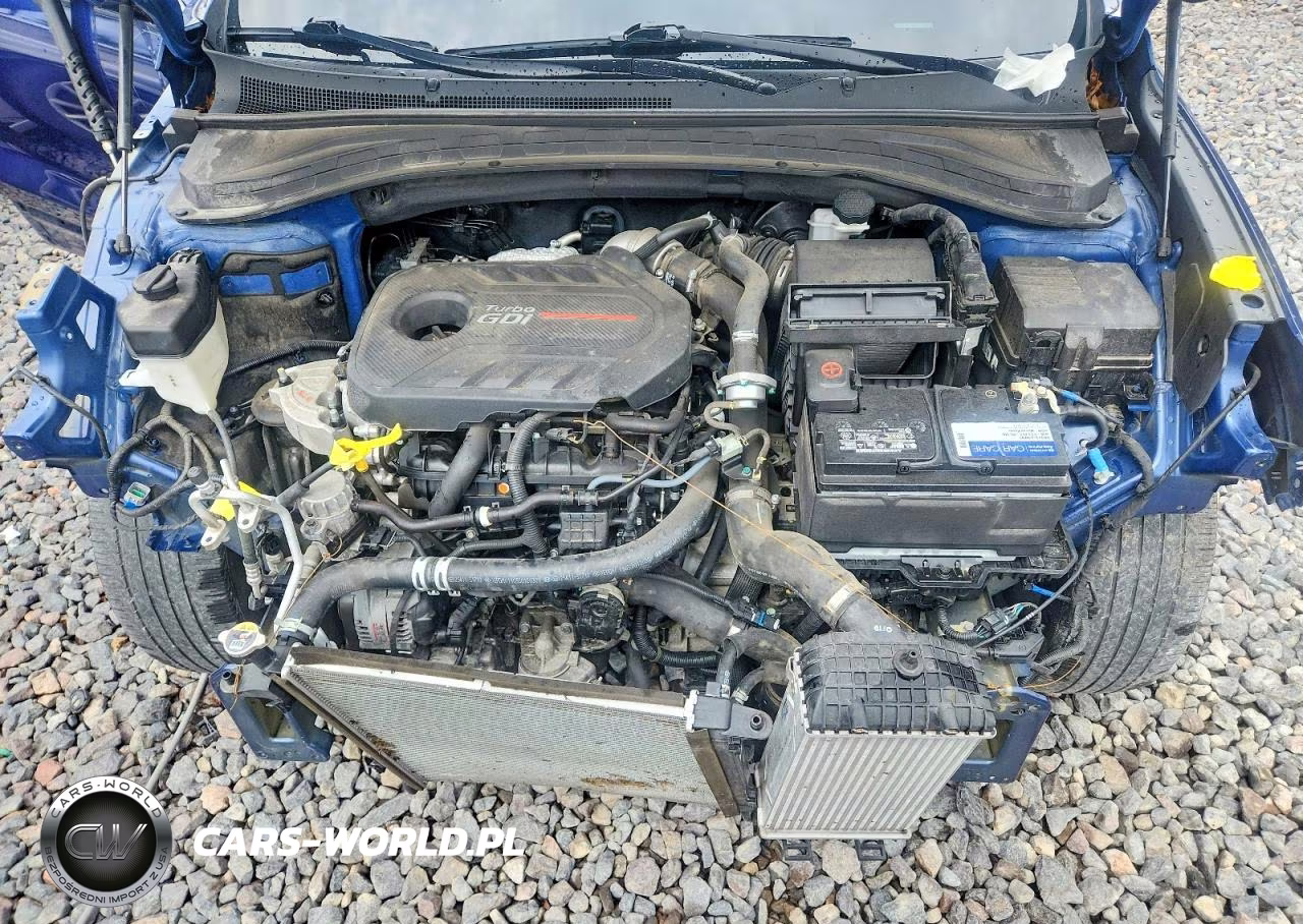 2020 Hyundai Santa Fe Limited 2.0T VIN:5NMS53AA4LH171292 - 12