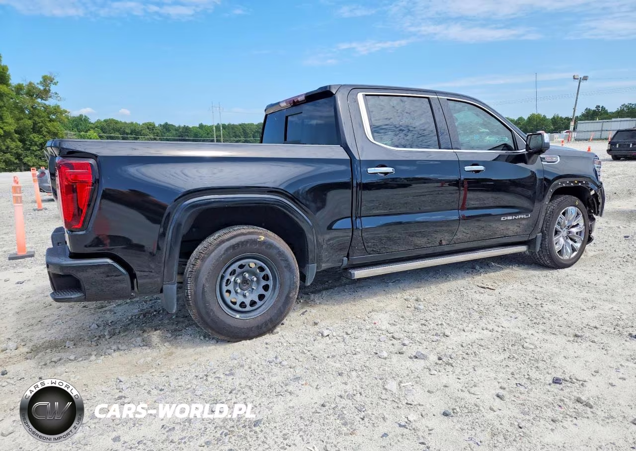 2024 GMC Sierra K1500 Denali VIN:1GTUUGEL9RZ170450 - 3