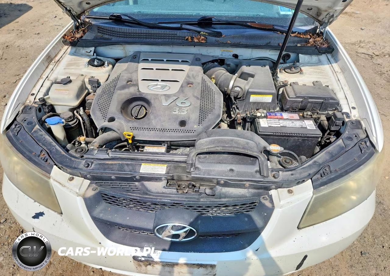 2007 Hyundai Sonata Se VIN:5NPEU46F07H252390 - 11