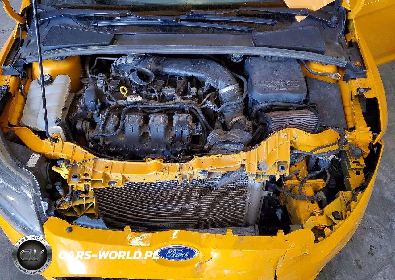 2013 Ford Focus St VIN:1FADP3L95DL191739 - 11