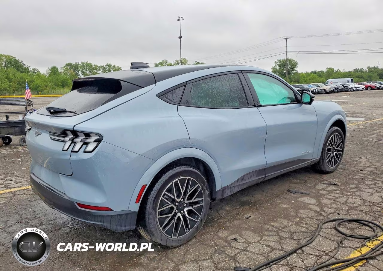 2025 Ford Mustang Mach-E Premium VIN:3FMTK3SU8SMA53033 - 3