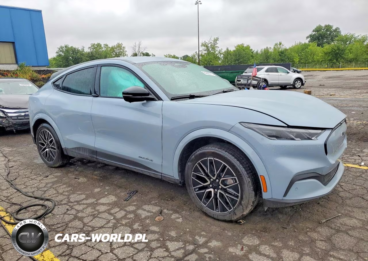 2025 Ford Mustang Mach-E Premium VIN:3FMTK3SU8SMA53033 - 4