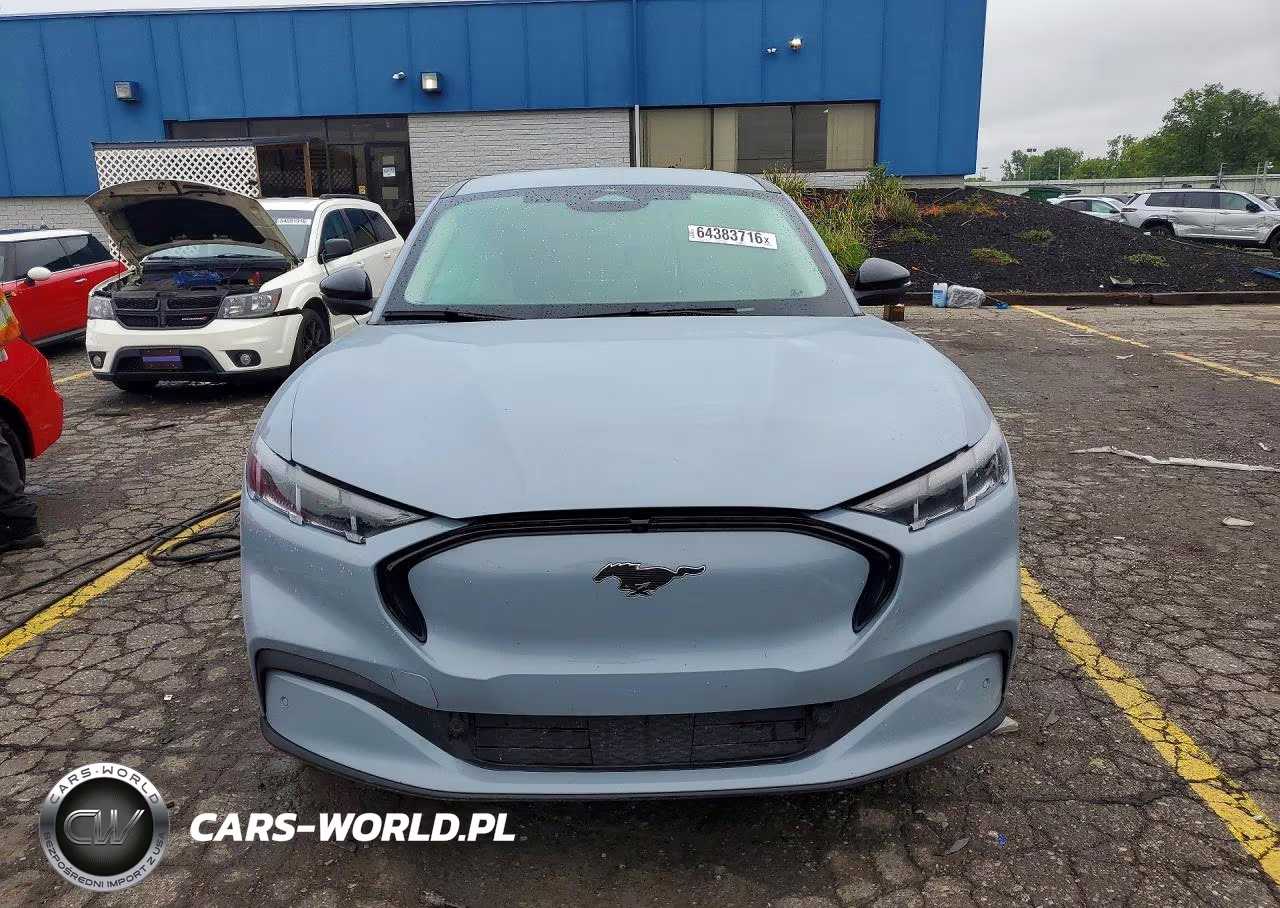 2025 Ford Mustang Mach-E Premium VIN:3FMTK3SU8SMA53033 - 5