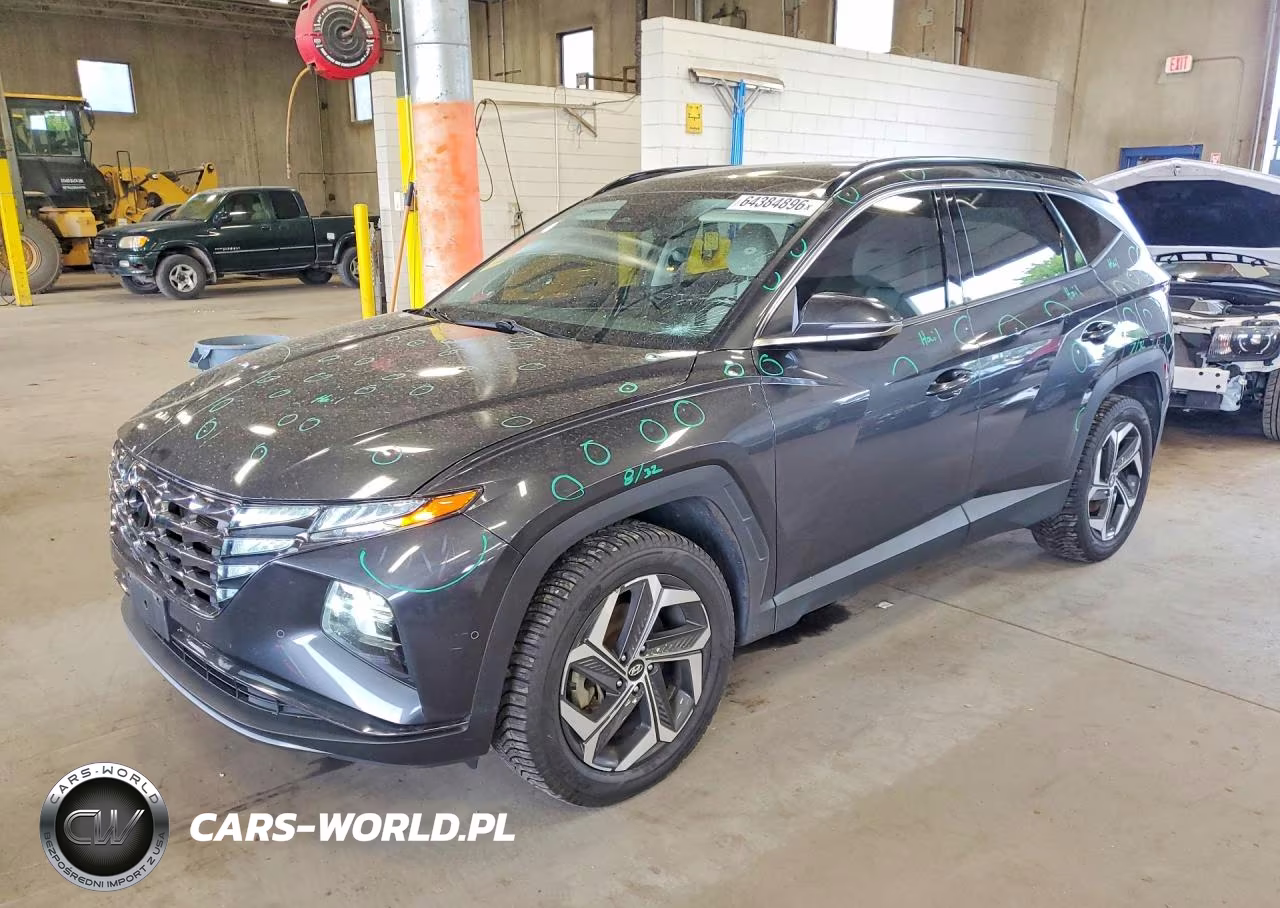 2023 Hyundai Tucson Limited VIN:5NMJECAE1PH190189 - 1