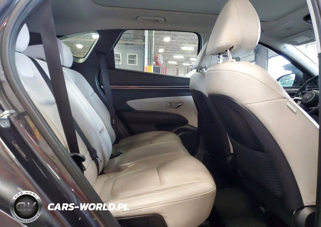 2023 Hyundai Tucson Limited VIN:5NMJECAE1PH190189 - 11