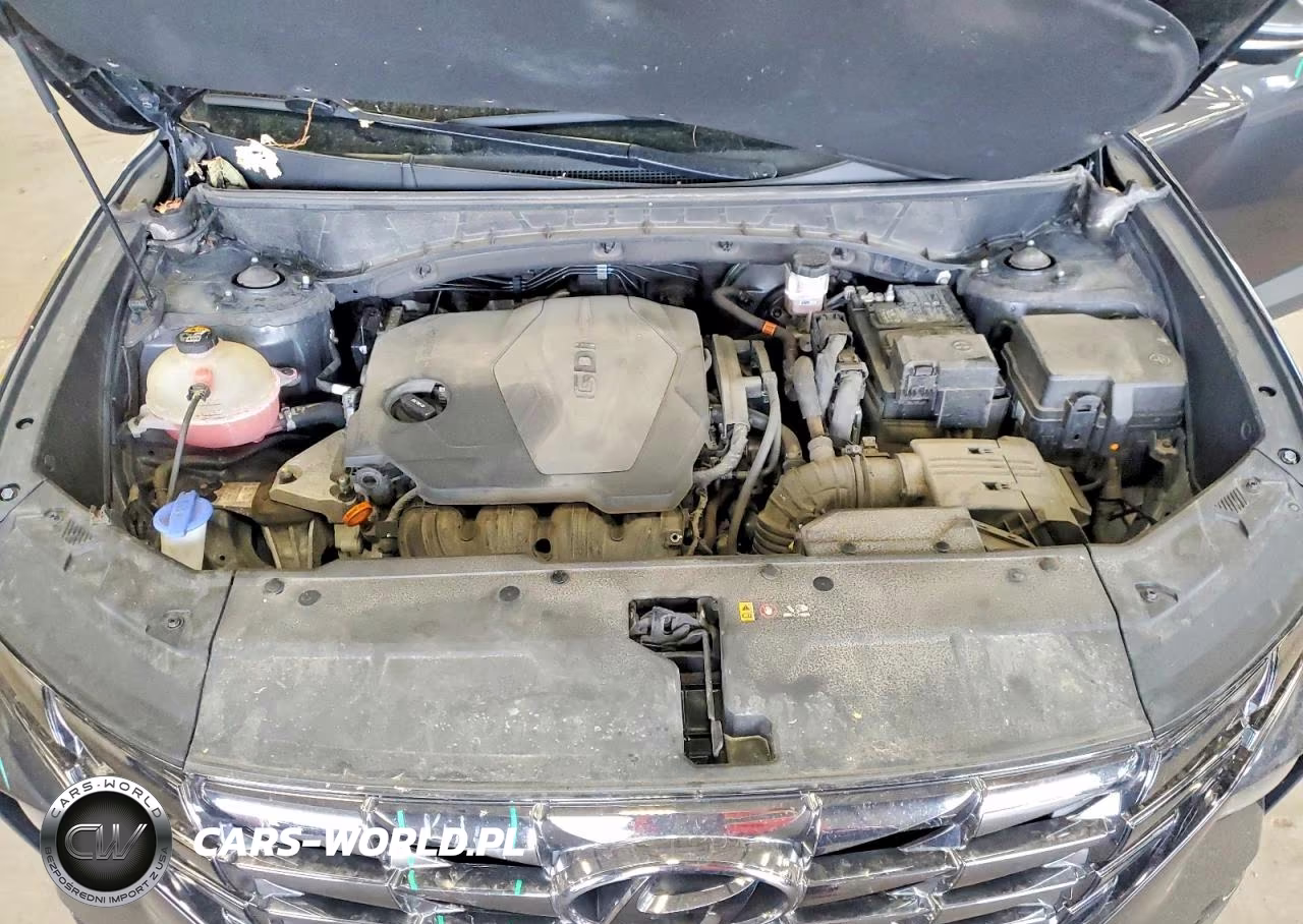 2023 Hyundai Tucson Limited VIN:5NMJECAE1PH190189 - 12