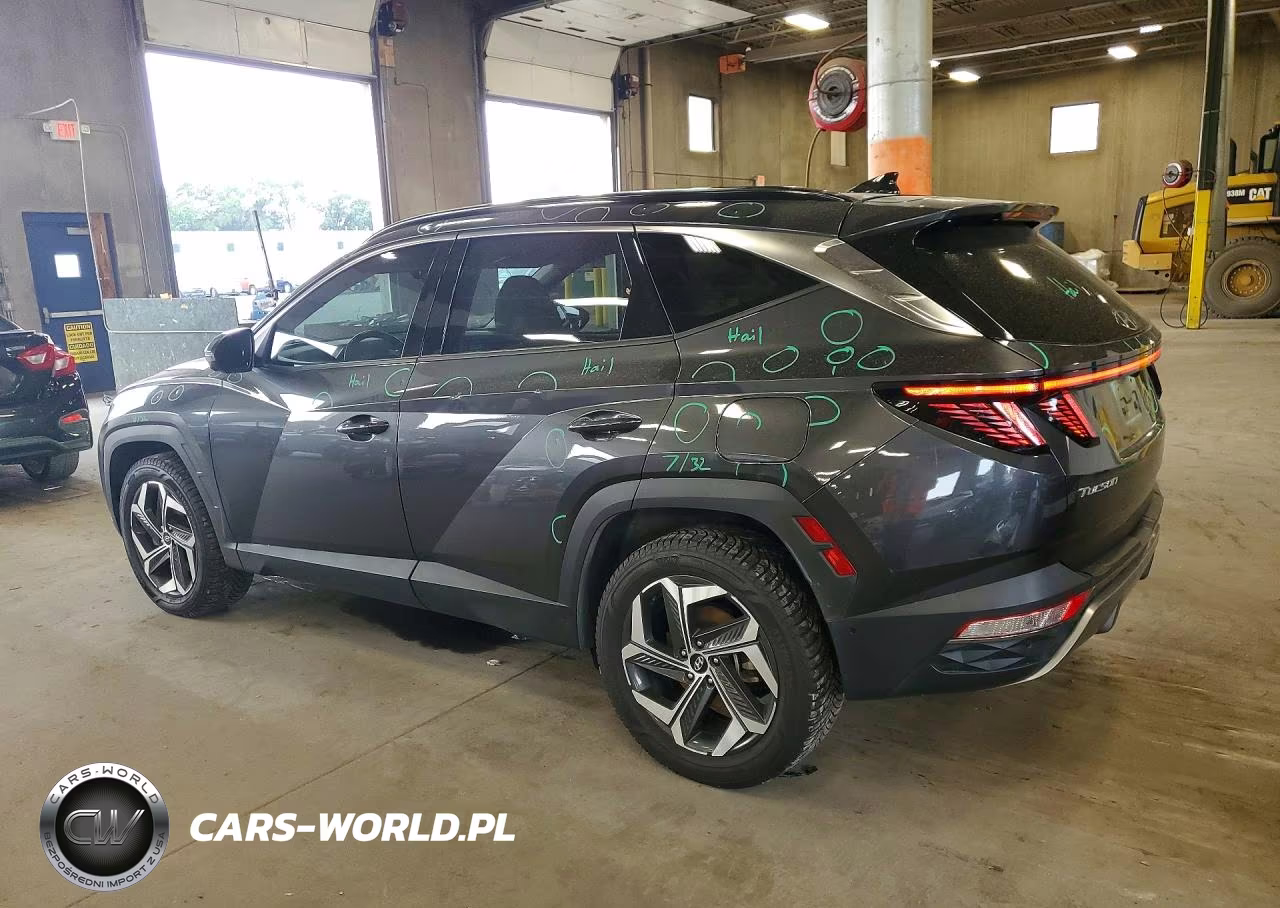 2023 Hyundai Tucson Limited VIN:5NMJECAE1PH190189 - 2