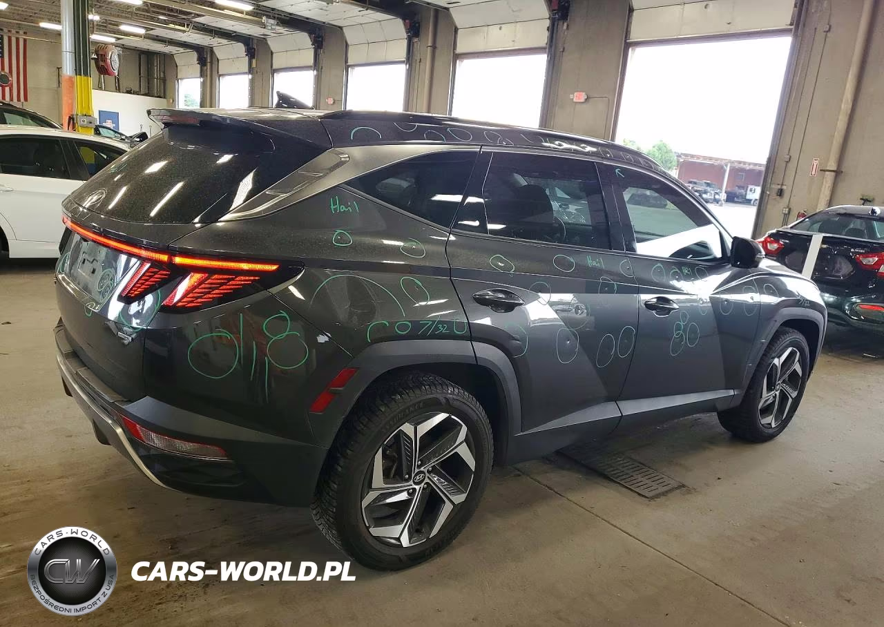 2023 Hyundai Tucson Limited VIN:5NMJECAE1PH190189 - 3
