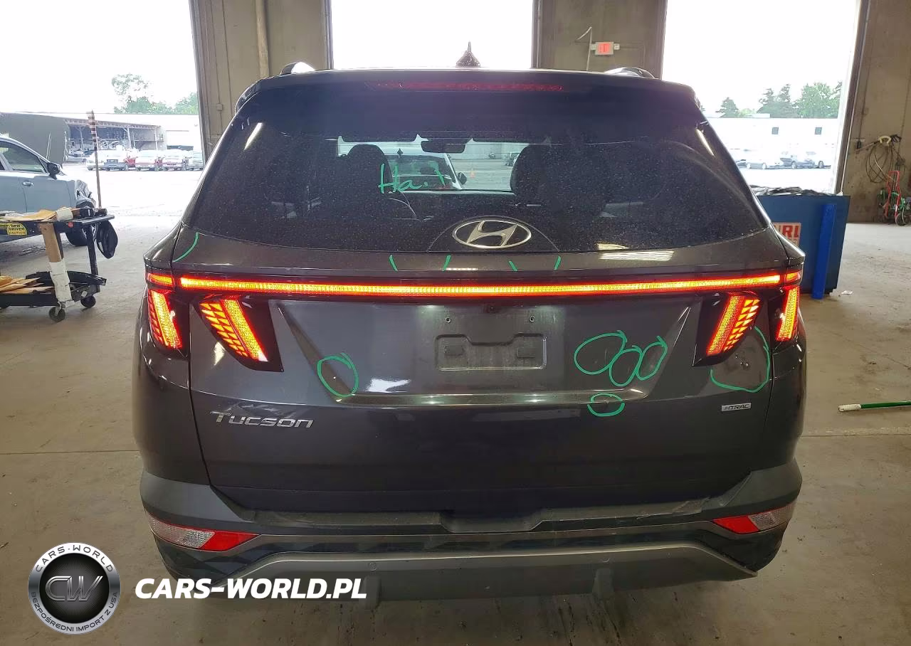 2023 Hyundai Tucson Limited VIN:5NMJECAE1PH190189 - 6