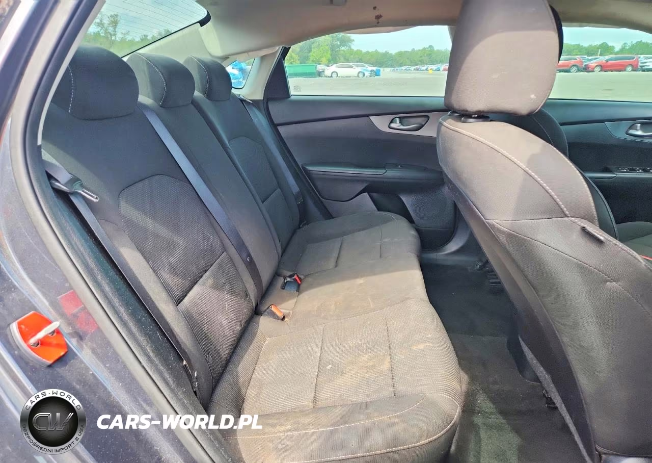 2019 Kia Forte Lxs VIN:3KPF24AD1KE097068 - 10