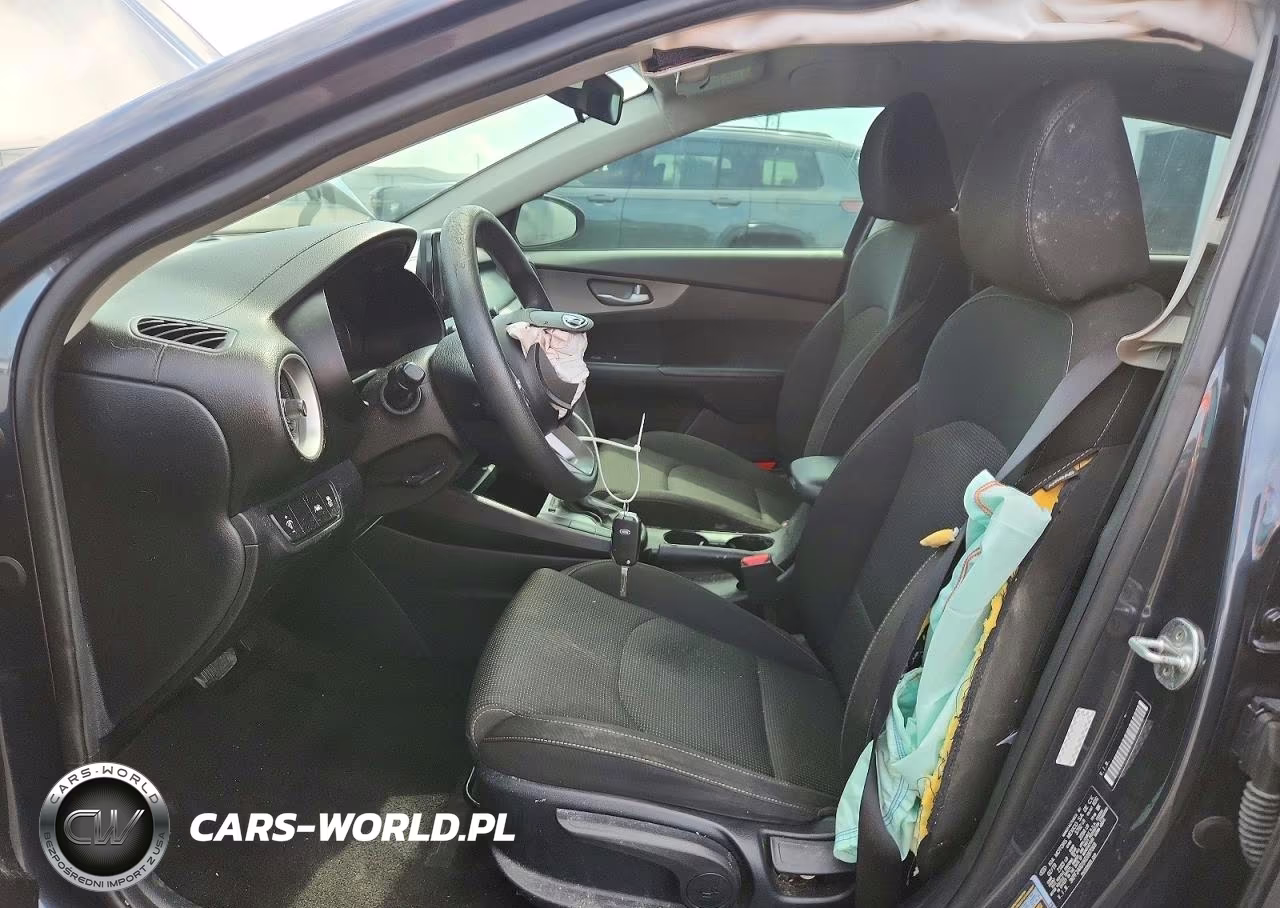 2019 Kia Forte Lxs VIN:3KPF24AD1KE097068 - 7
