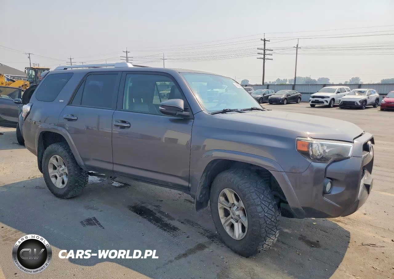 2017 Toyota 4Runner Sr5 Premium VIN:JTEBU5JR5H5429331 - 4