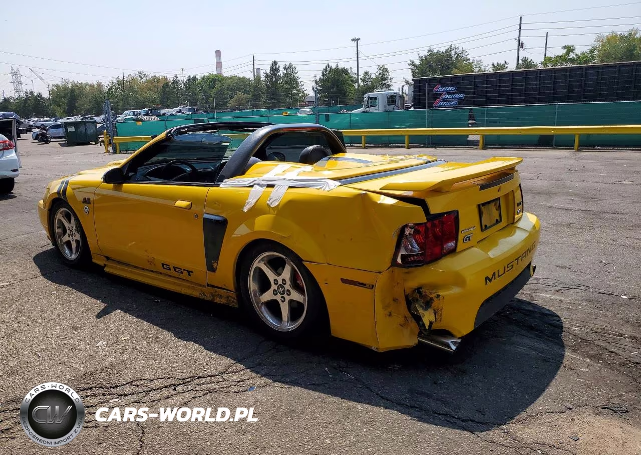 2004 Ford Mustang Gt VIN:1FAFP45X14F189320 - 2