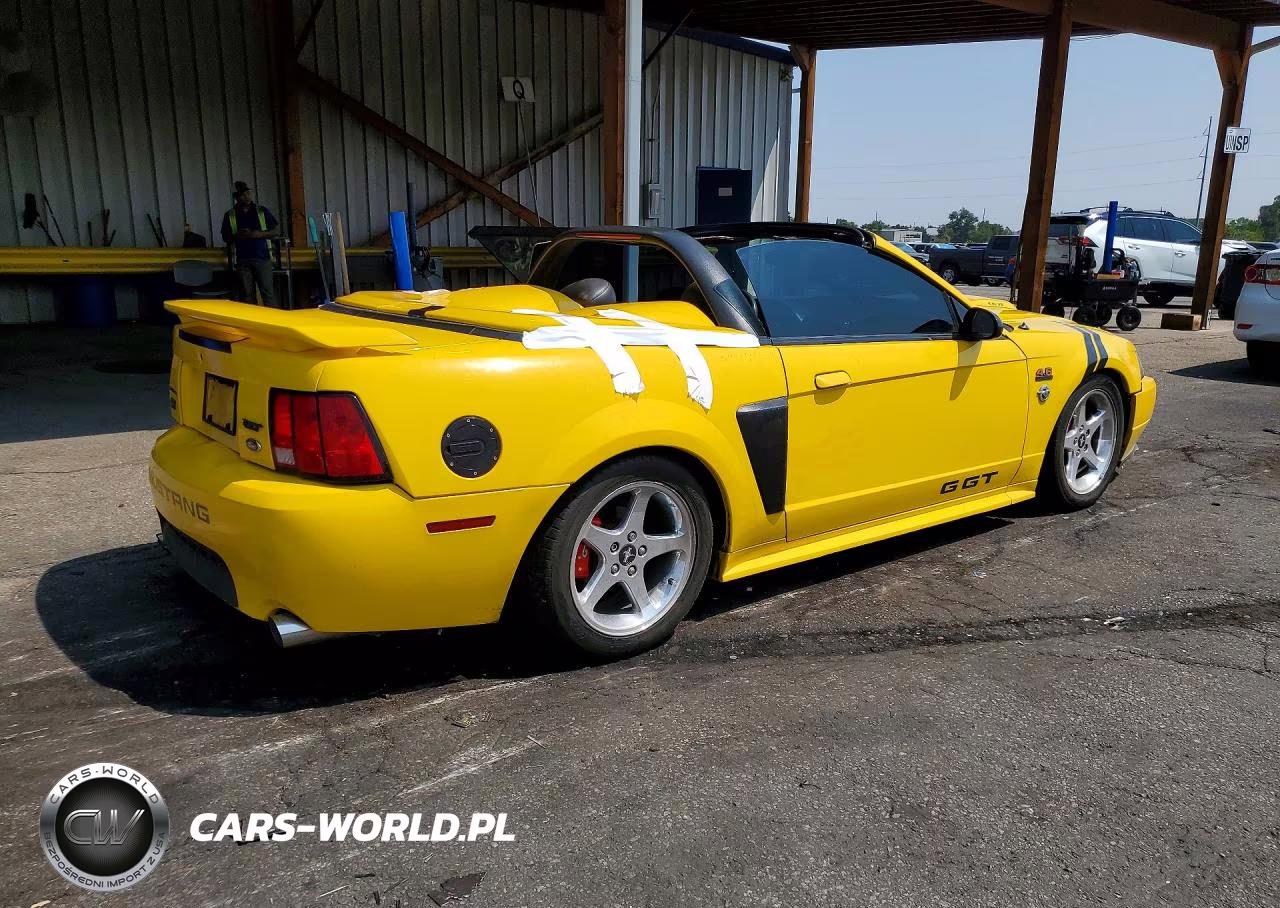 2004 Ford Mustang Gt VIN:1FAFP45X14F189320 - 3