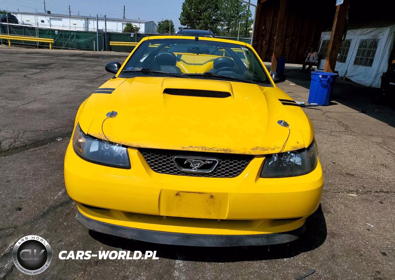 2004 Ford Mustang Gt VIN:1FAFP45X14F189320 - 5