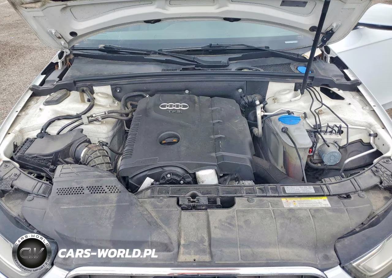 2013 Audi A4 Premium Plus VIN:WAUFFAFLXDN012842 - 11