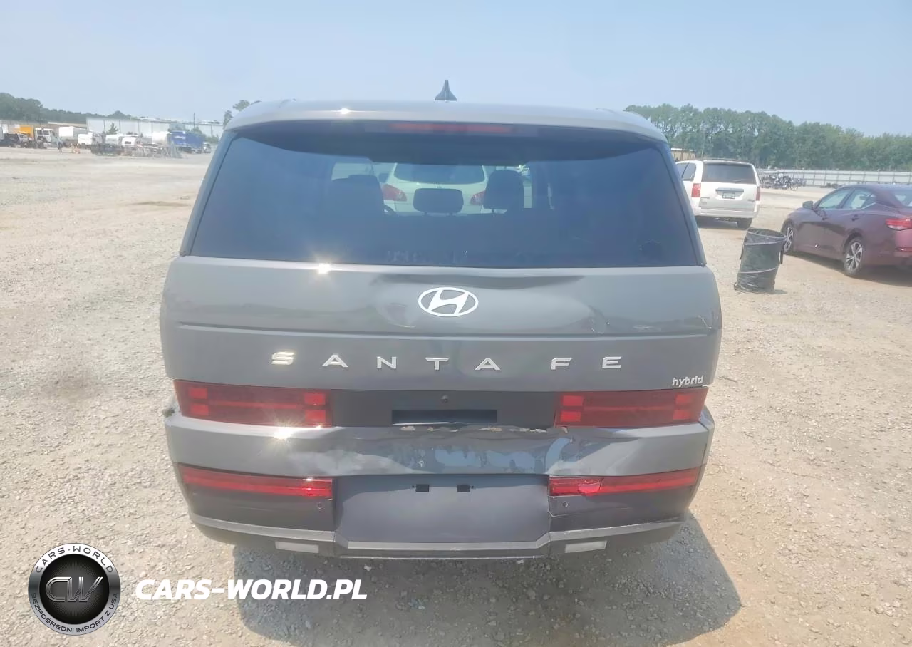 2026 Hyundai Santa Fe Se VIN:5NMP14G13TH116301 - 6