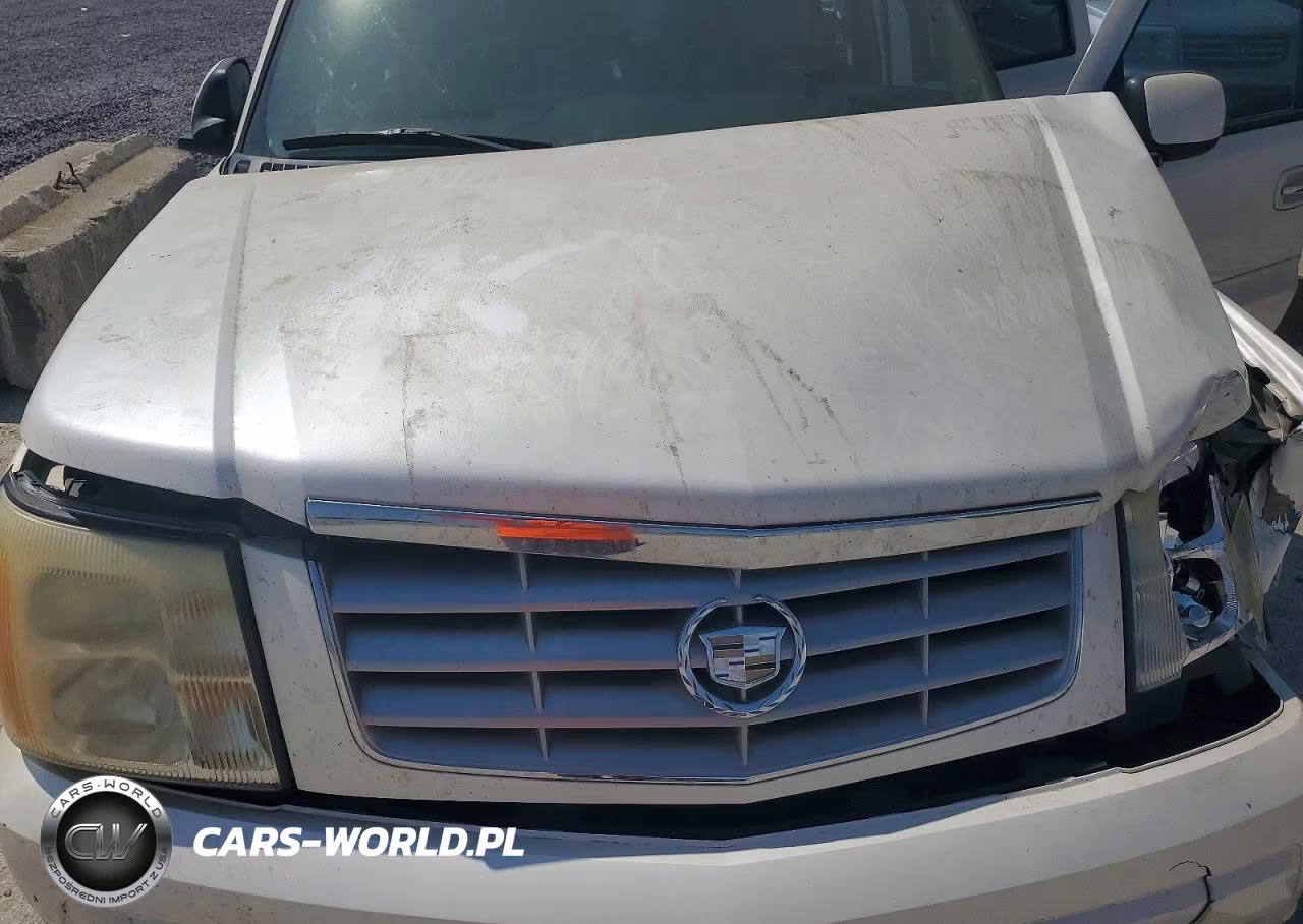 2005 Cadillac Escalade Luxury VIN:1GYEK63N85R131068 - 12