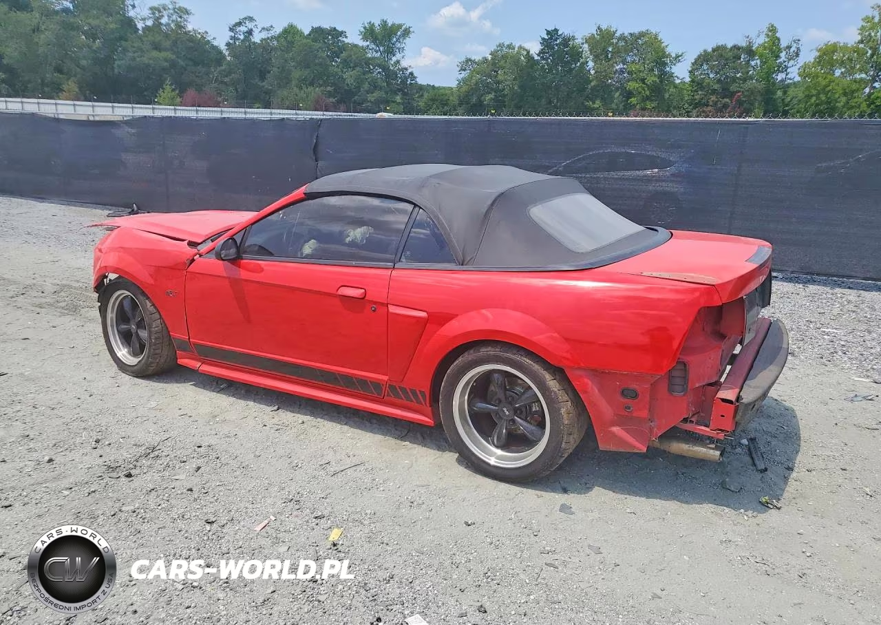 2003 Ford Mustang Gt VIN:1FAFP45X93F384838 - 2
