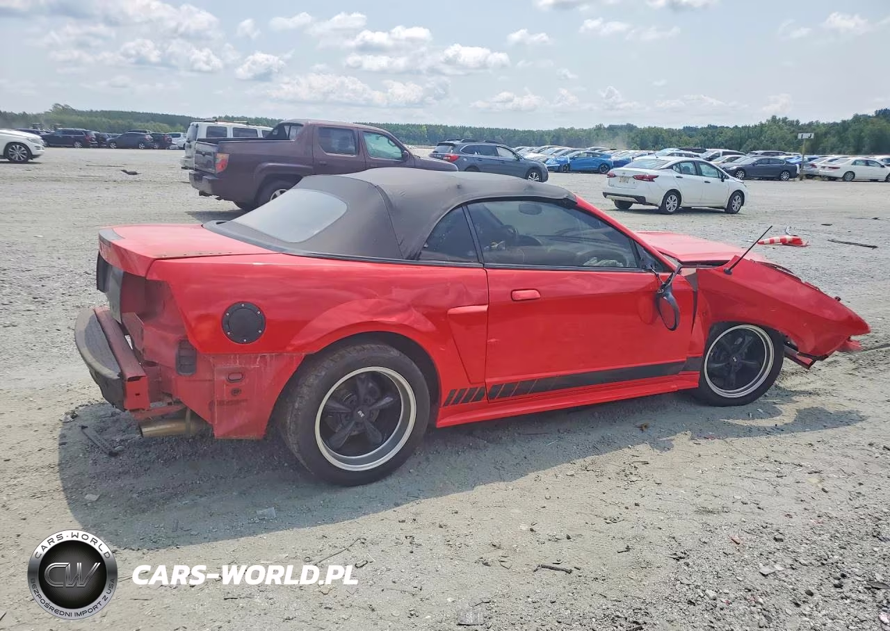 2003 Ford Mustang Gt VIN:1FAFP45X93F384838 - 3