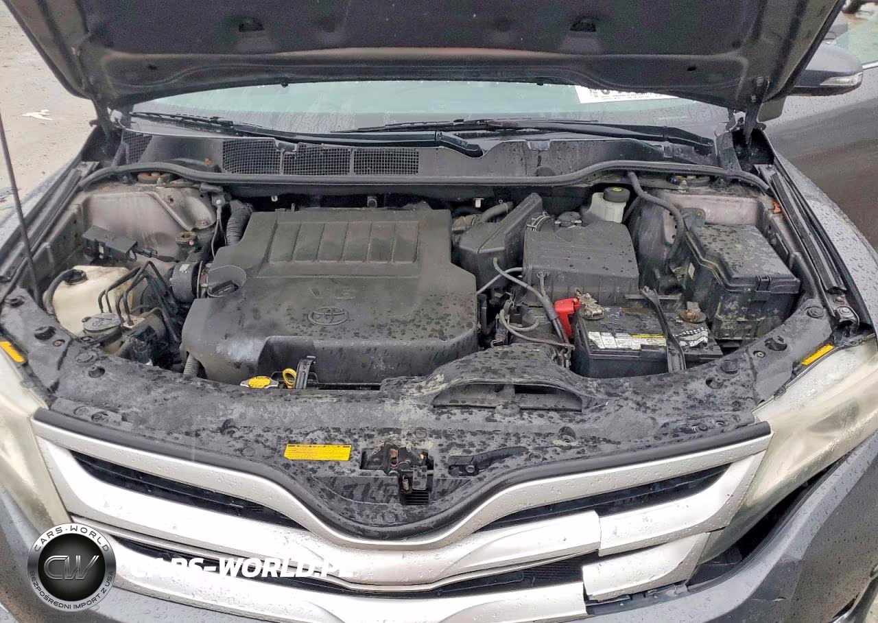 2014 Toyota Venza Limited VIN:4T3BK3BB1EU100761 - 12